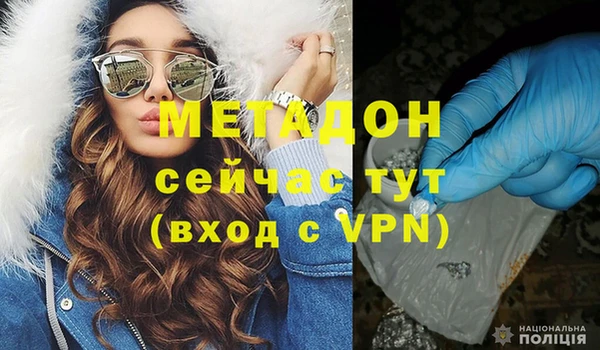 сатива Бородино
