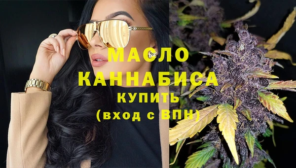 сатива Бородино