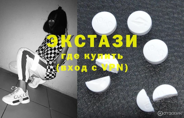сатива Бородино