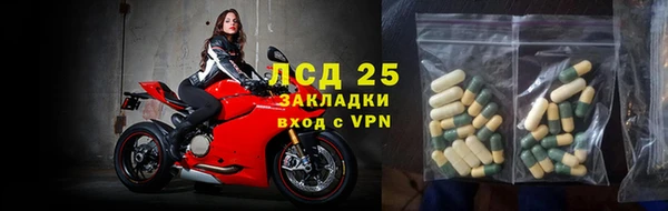 сатива Бородино