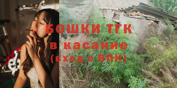 сатива Бронницы