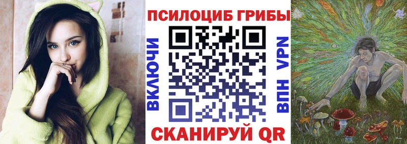 Псилоцибиновые грибы Cubensis  наркота  Семёнов 